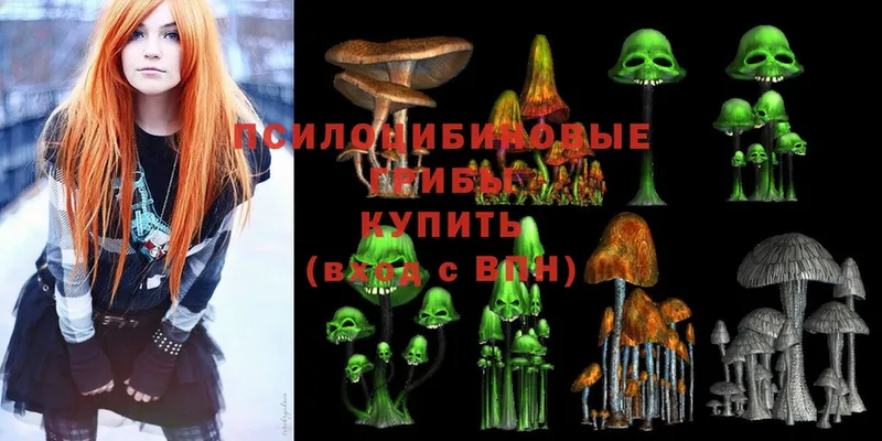 Галлюциногенные грибы Psilocybe  Елабуга 